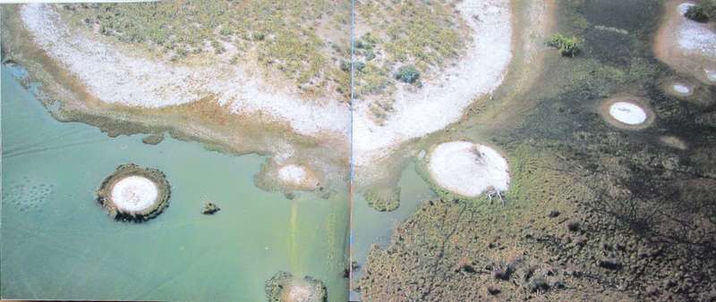 Bird's Eye View an Aerial Journey Over Wild Africa