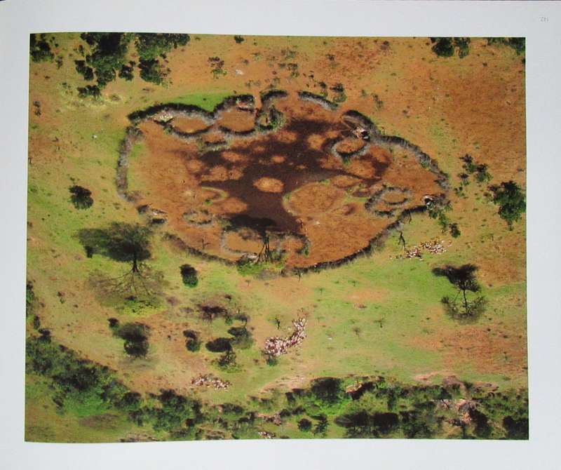 Bird's Eye View an Aerial Journey Over Wild Africa