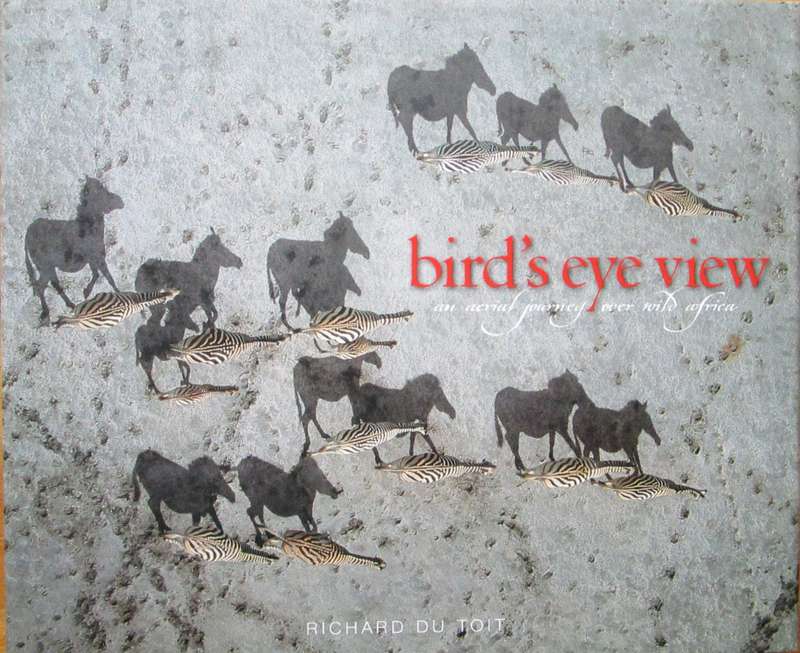 Bird's Eye View an Aerial Journey Over Wild Africa