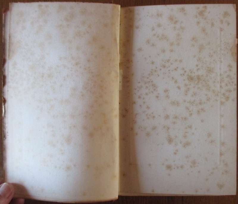 The Life of the Rt. Hon. Cecil John Rhodes 1853-1902 Volume I