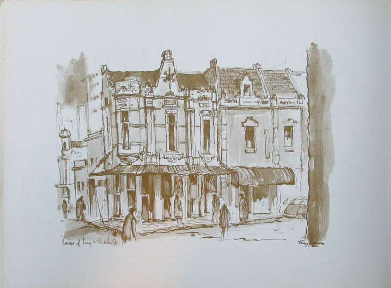 Tony Grogan's Vanishing Cape Town