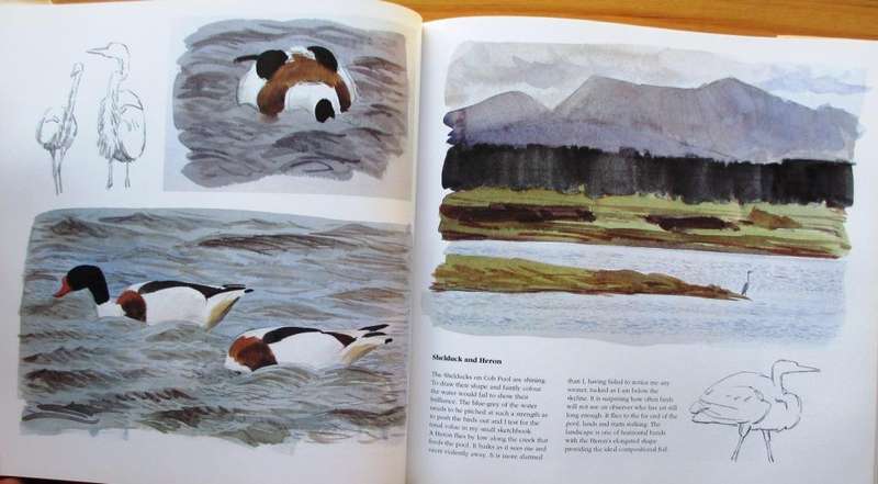 Bird Impressions: A Personal View of Birds
