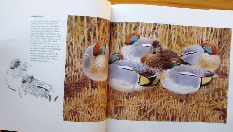 Bird Impressions: A Personal View of Birds