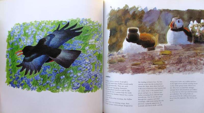 Bird Impressions: A Personal View of Birds