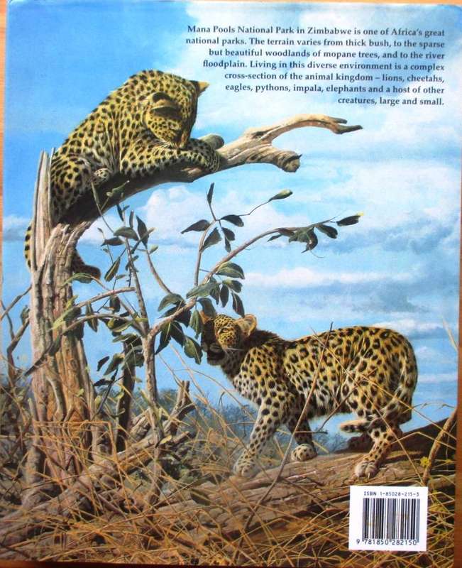 African Seasons: Wildlife at the Waterhole
