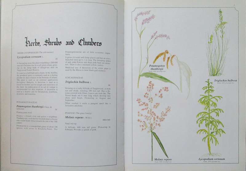 Wild Flowers of KwaZulu-Natal *** SIGNED ***