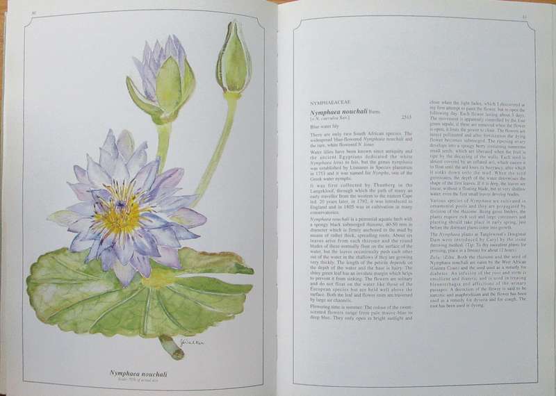 Wild Flowers of KwaZulu-Natal *** SIGNED ***