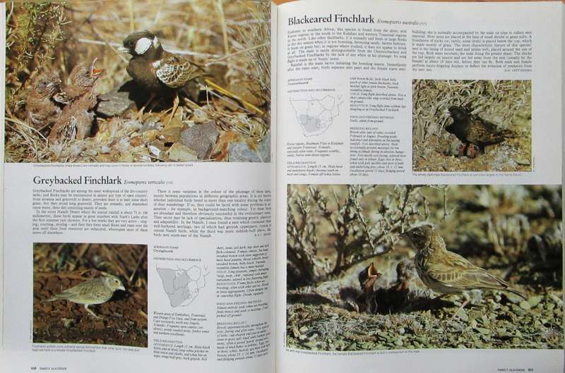 The Complete Book of Southern African Birds