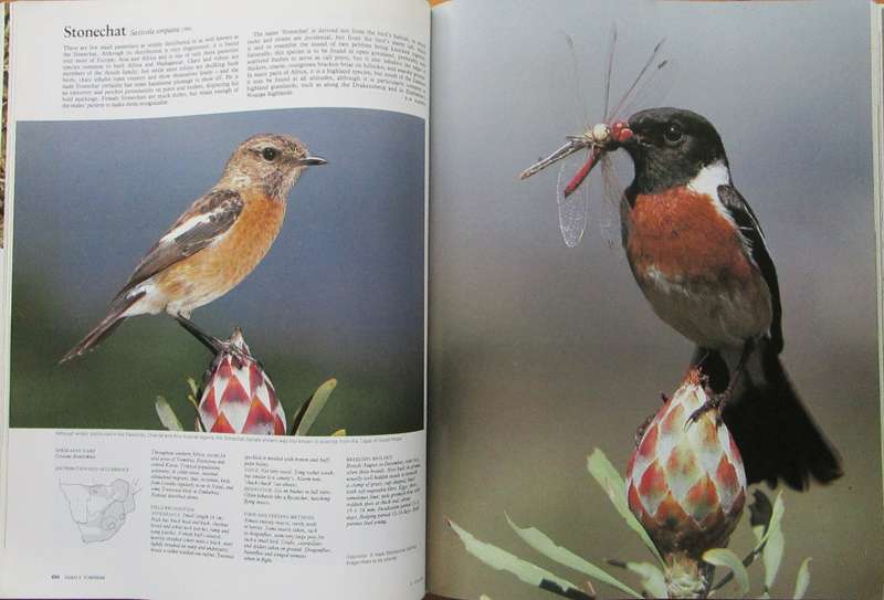 The Complete Book of Southern African Birds