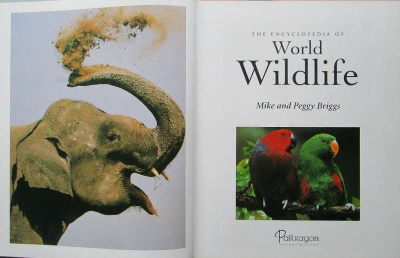 Encyclopedia of World Wildlife