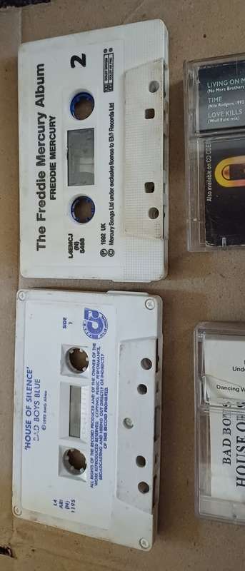 BAD BOYS BLUE - HOUSE OF SILENCE  AND FREDDIE MERCURY - REMIXES