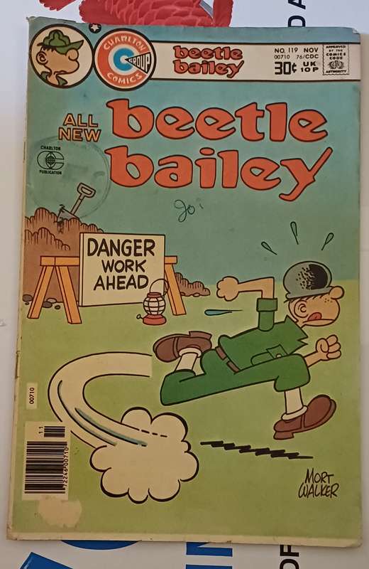 BEETLE BAILEY - NO 119