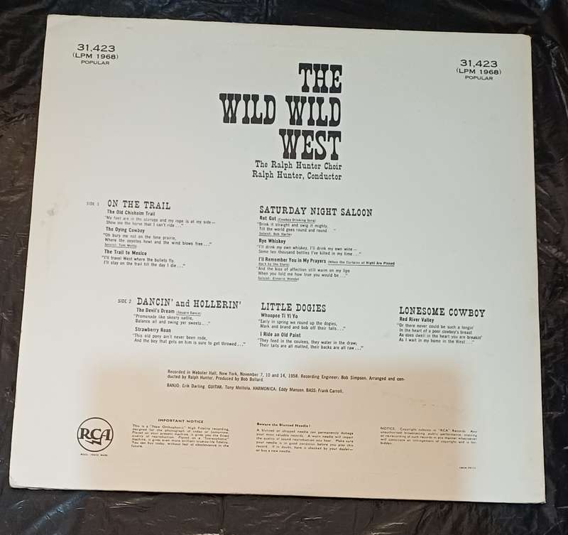THE WILD WILD WEST