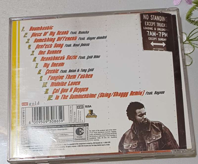 SHAGGY - BOOMBASTIC HITS
