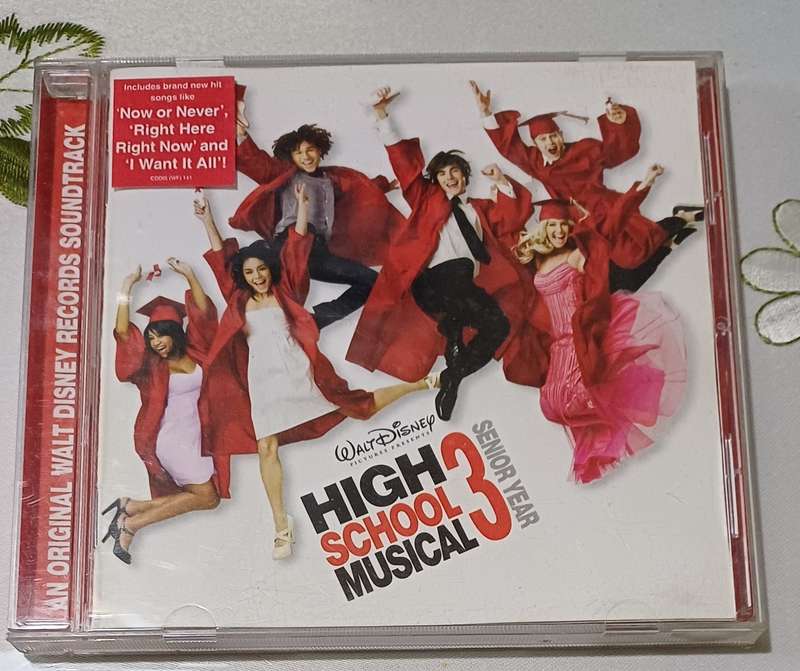 HIGH SCHOOL MUSICAL 3 SENIOR YEAR