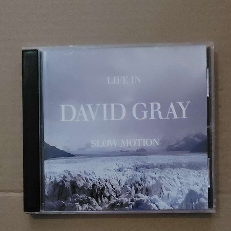 DAVID GREY - LIFE IN SLOW MOTION