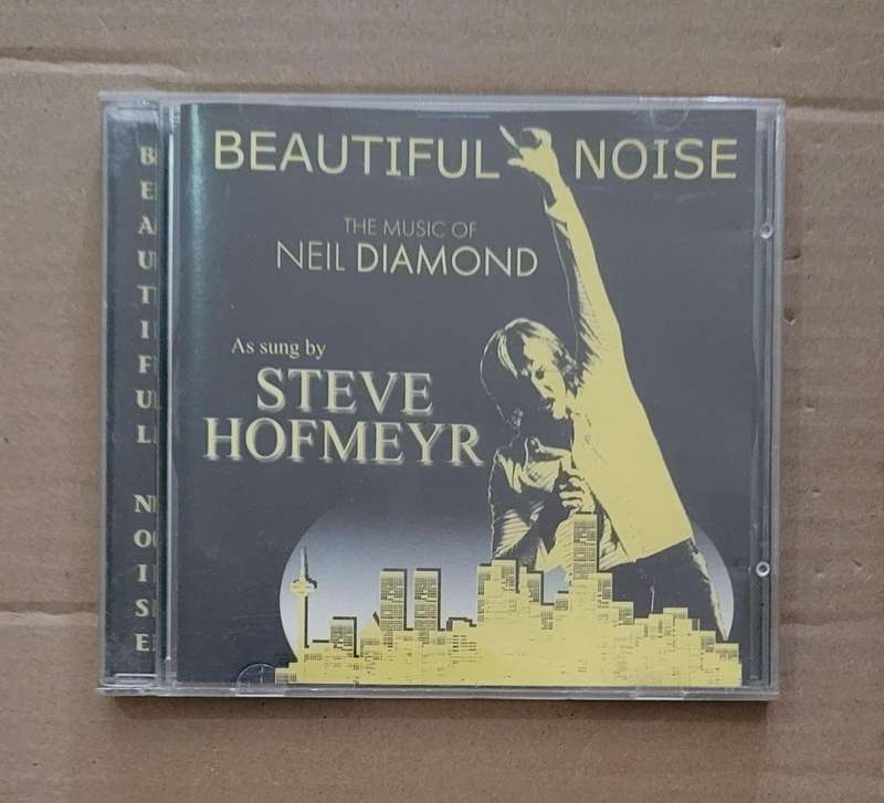 STEVE HOFMEYR - BEAUTIFUL NOISE