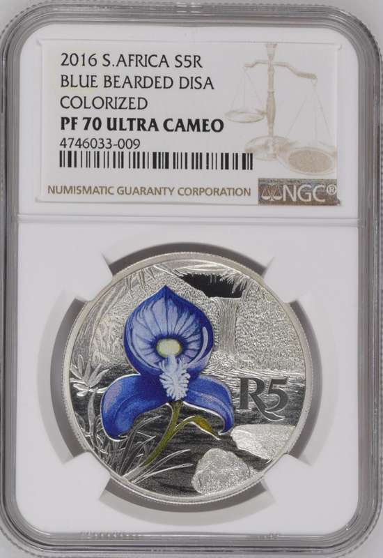 PF70 UC - 2016 Sterling Silver R5 - 1oz Silver Color Series - Blue Bearded Disa
