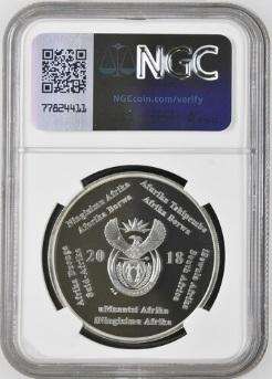 PF69 UC - 2018 Silver Proof R2 - Computed Tomography