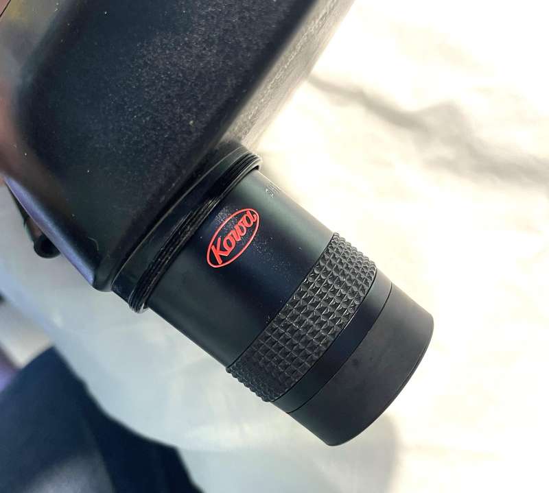Kowa TSN-821 82mm Angled Spotting Scope.