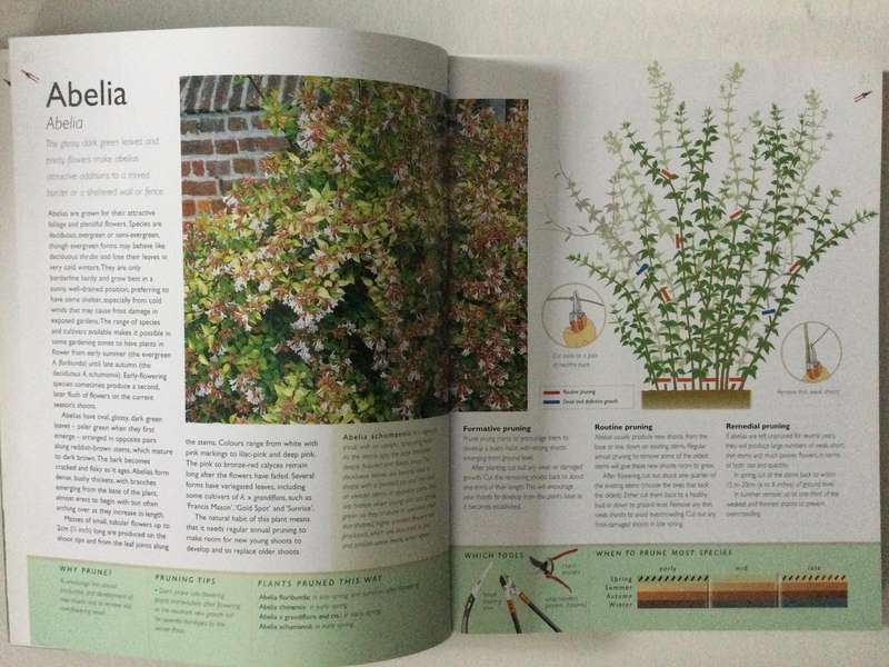 The Pruners Bible, Steve Bradley, 2006