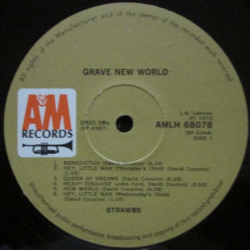 STRAWBS - GRAVE NEW WORLD  (LP/VINYL)