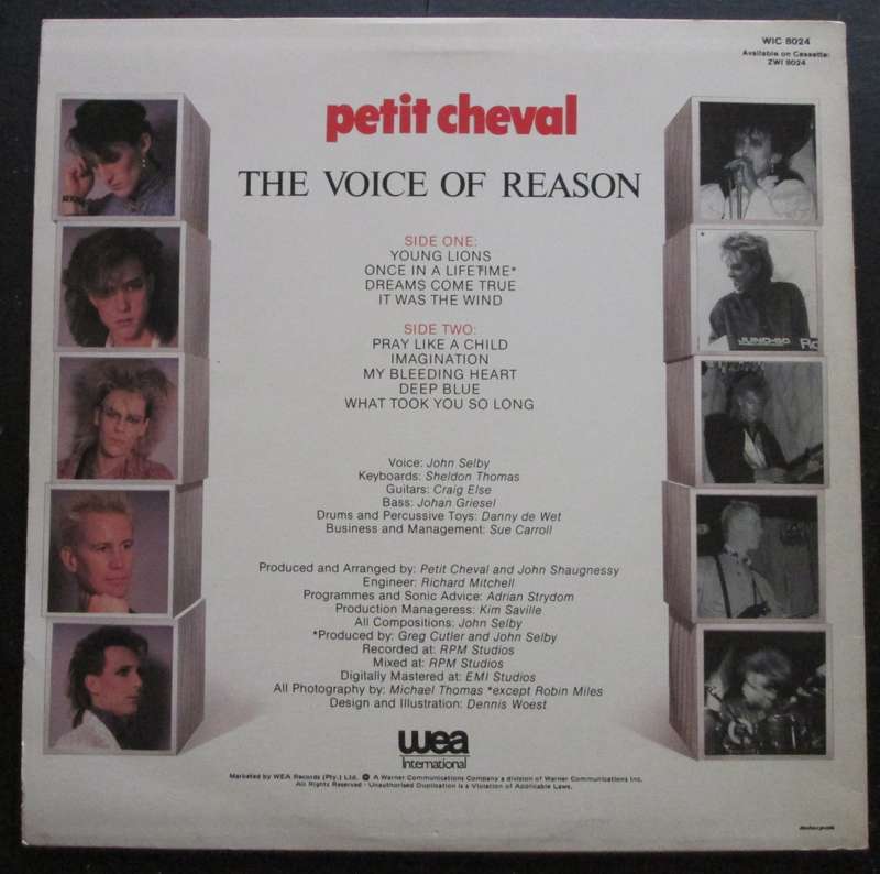 PETIT CHEVAL - THE VOICE OF REASON   (LP/VINYL)