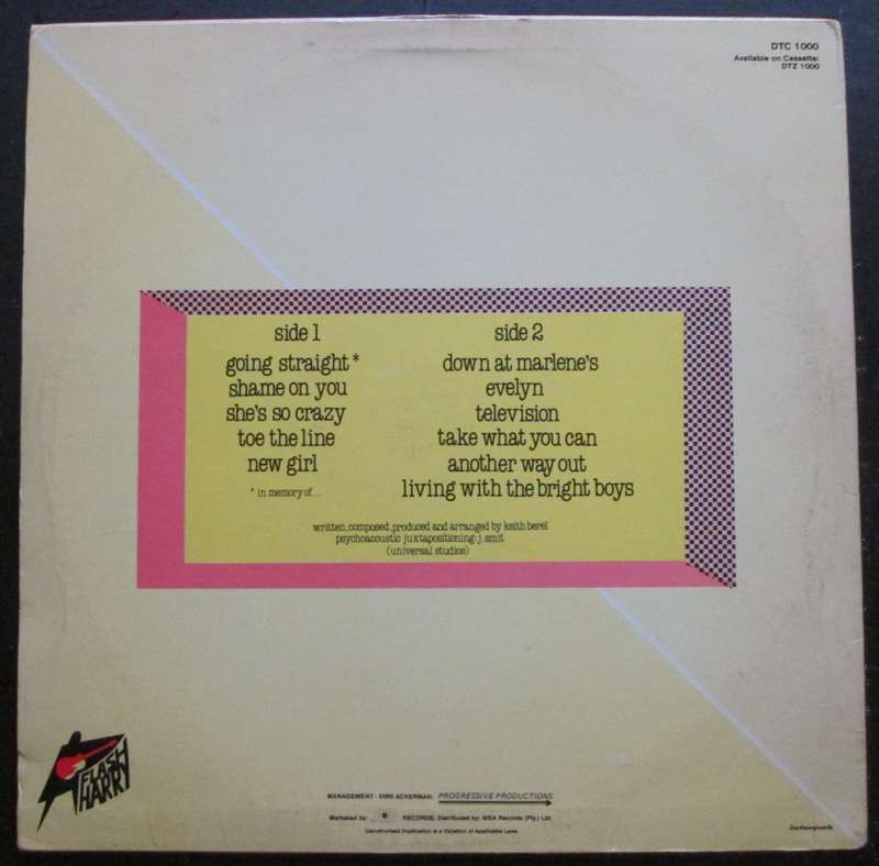 FLASH HARRY - TAKE WHAT YOU CAN  (LP/VINYL)