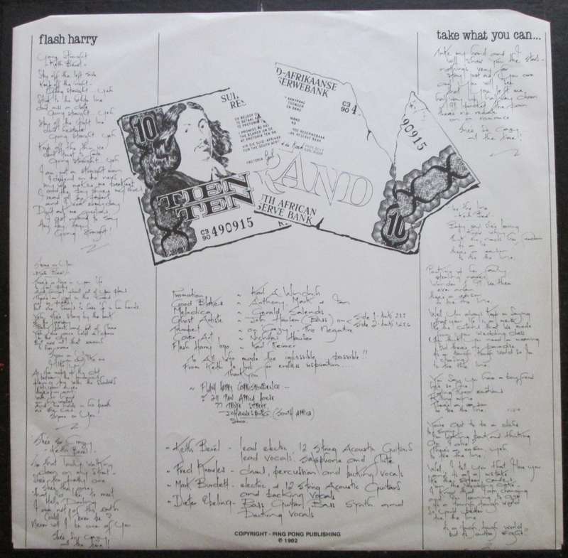 FLASH HARRY - TAKE WHAT YOU CAN  (LP/VINYL)