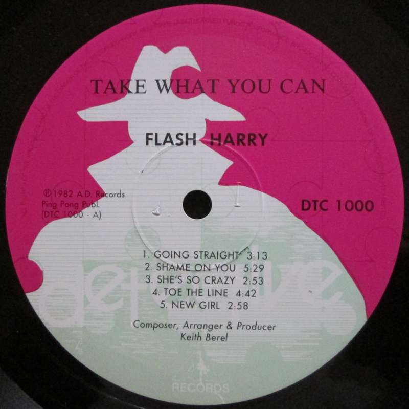 FLASH HARRY - TAKE WHAT YOU CAN  (LP/VINYL)
