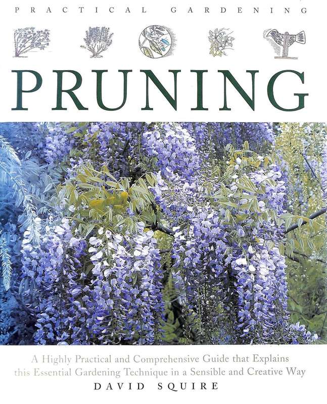 Practical Gardening: Pruning by David Squire