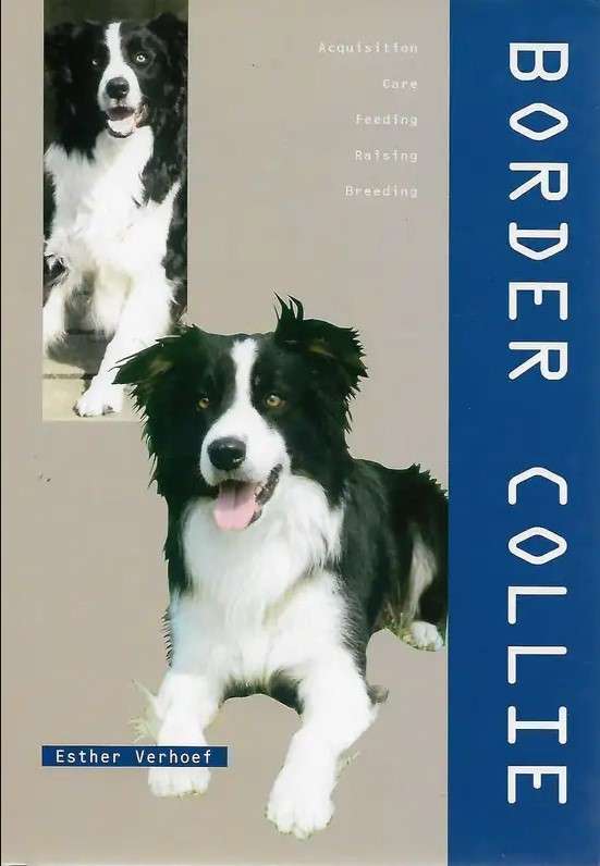Border Collie by Esther Verhoef