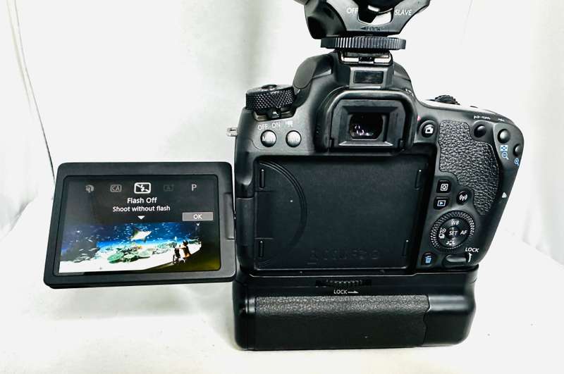 Canon EOS 77D with 2 Lens and + Speed light & accessories