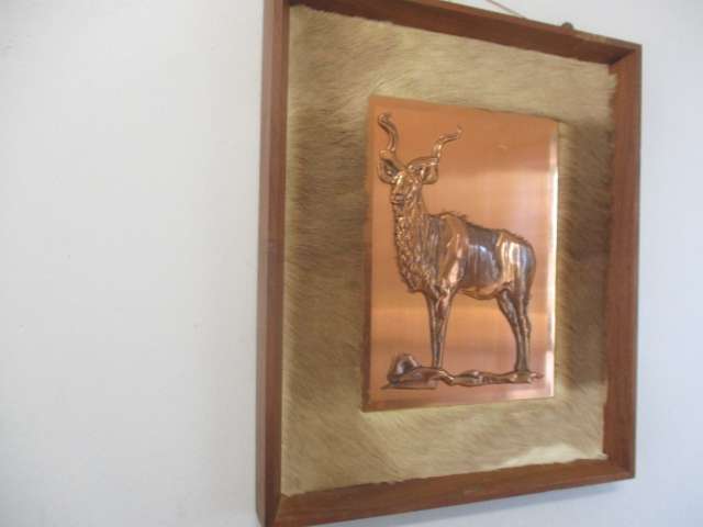 Captivating Vintage Copper Kudu On Game Skin In Wall Mount Wooden Frame