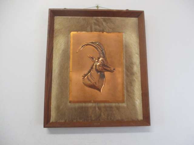 Magnificent Vintage Copper Sable On Game Skin In Wall Mount Wooden Frame