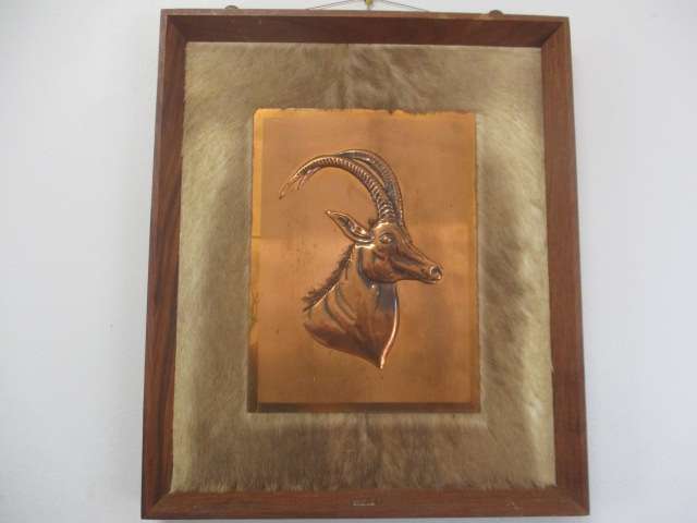 Magnificent Vintage Copper Sable On Game Skin In Wall Mount Wooden Frame