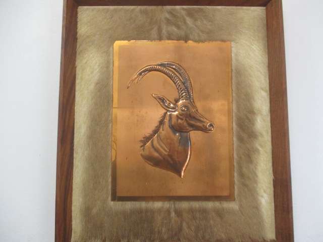 Magnificent Vintage Copper Sable On Game Skin In Wall Mount Wooden Frame