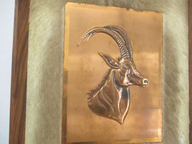 Magnificent Vintage Copper Sable On Game Skin In Wall Mount Wooden Frame