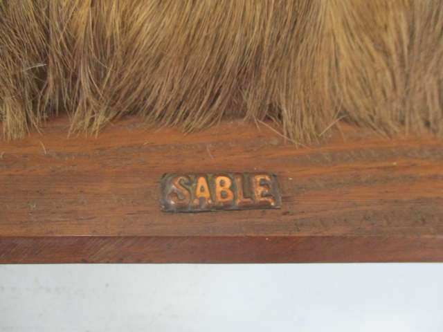 Magnificent Vintage Copper Sable On Game Skin In Wall Mount Wooden Frame