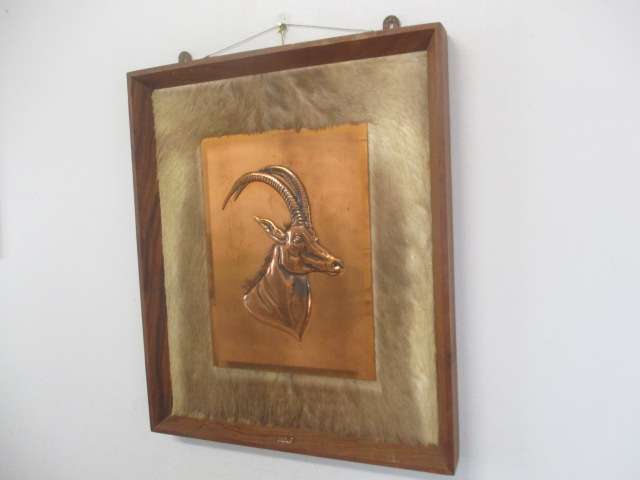 Magnificent Vintage Copper Sable On Game Skin In Wall Mount Wooden Frame