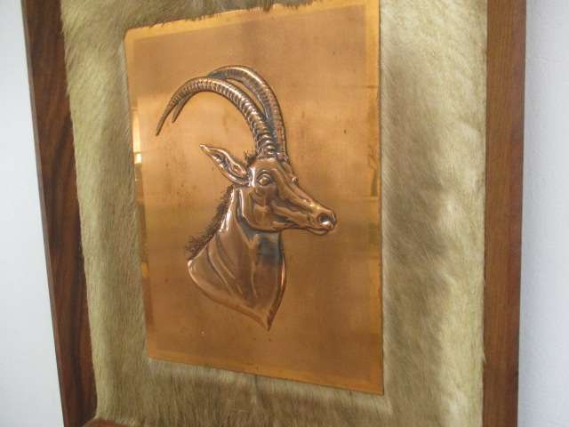 Magnificent Vintage Copper Sable On Game Skin In Wall Mount Wooden Frame