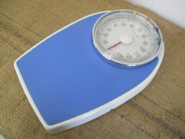 Nice Vintage Camry Bathroom Scale