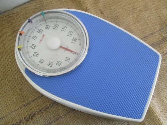 Nice Vintage Camry Bathroom Scale