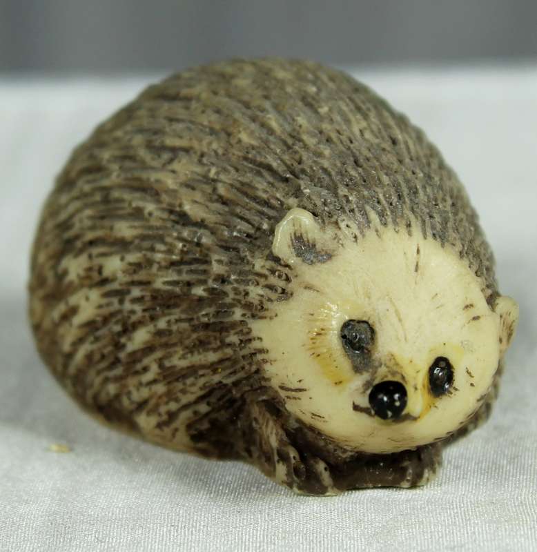 Miniature hedgehog
