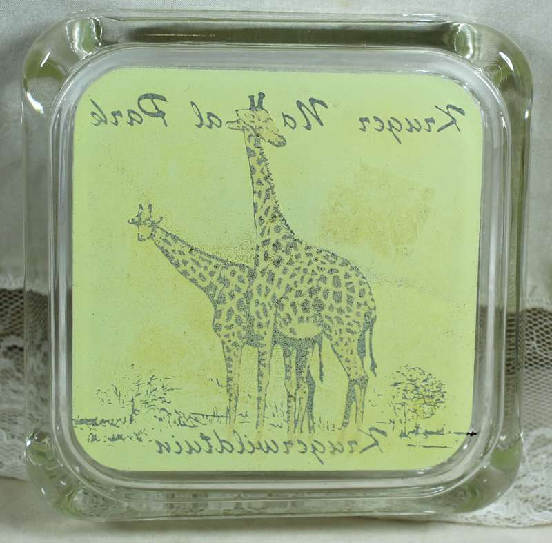 Kruger national park - Glass ashtray