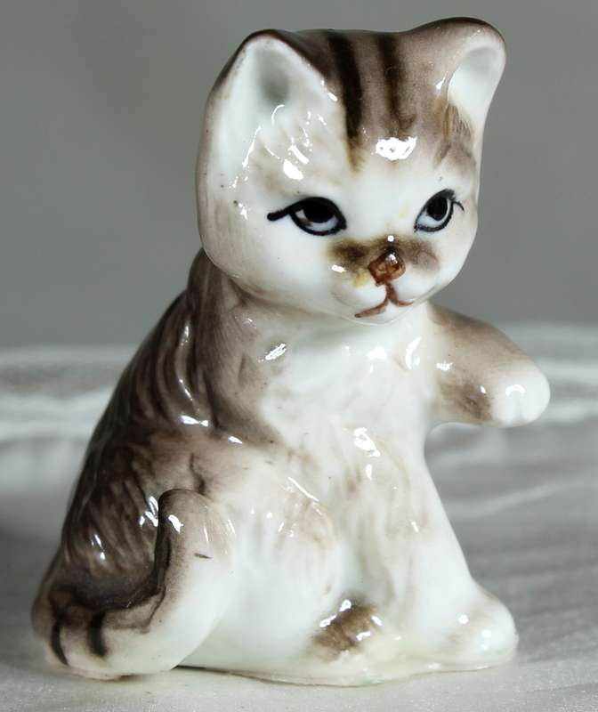 Little kitten