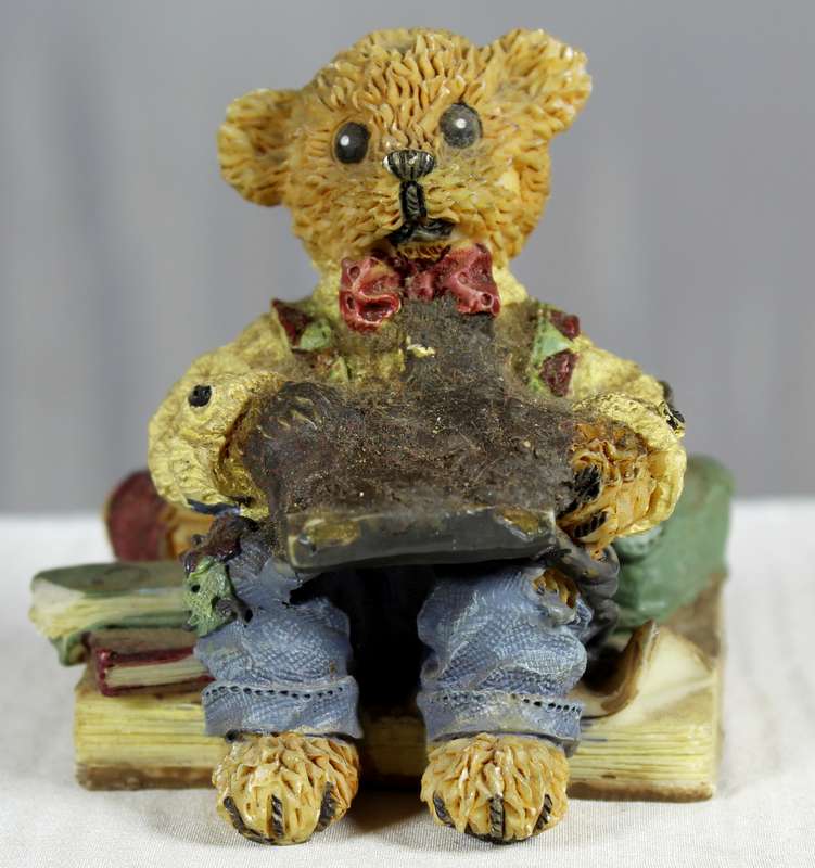 Little boy bear sitting between books