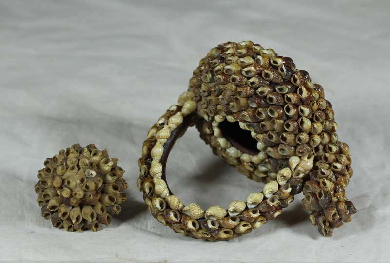 Small ceramic tea pot covered with shells