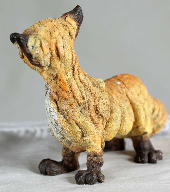 Fox with bulging eyes