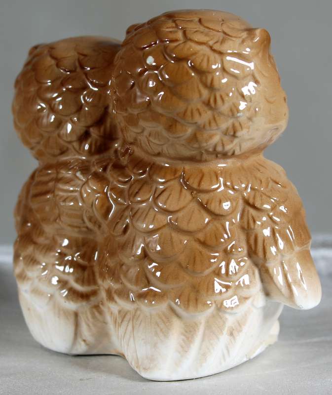 Owl couple
